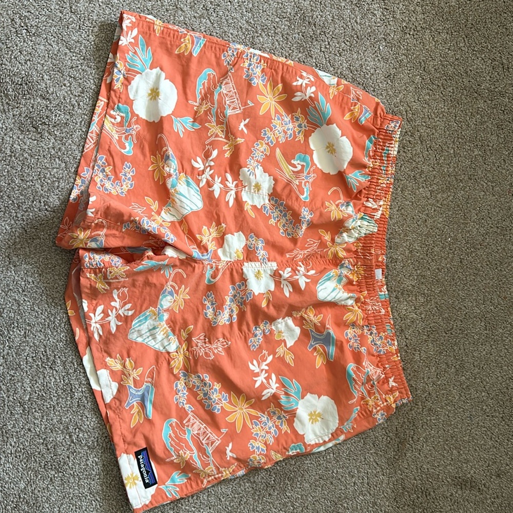 Patagonia Men’s Baggies